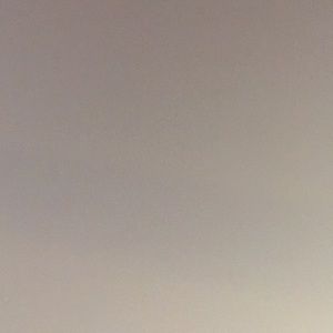 Meet your Posher, Shea